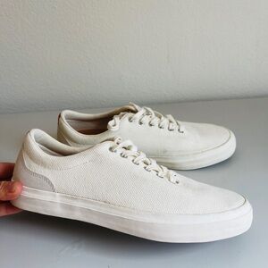 Arbor Legacy Shoes